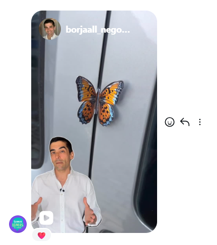 Mariposa naranja en una ventana